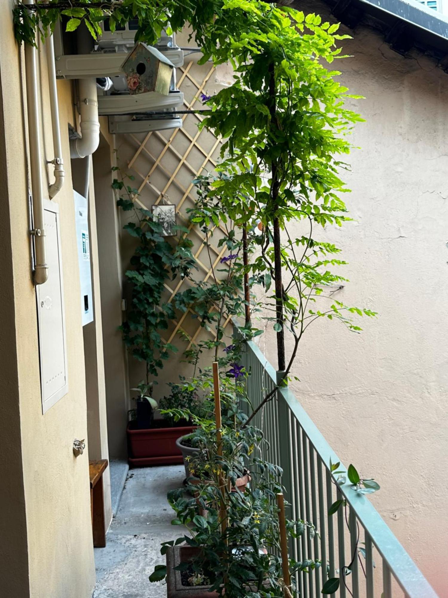 Apartmán Il Balconcino Del Centro Storico Turín Exteriér fotografie